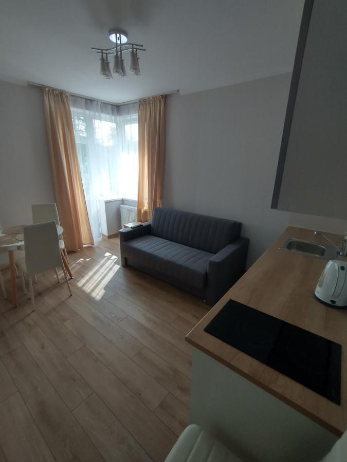 Apartament typu Suite z 1 sypialnią